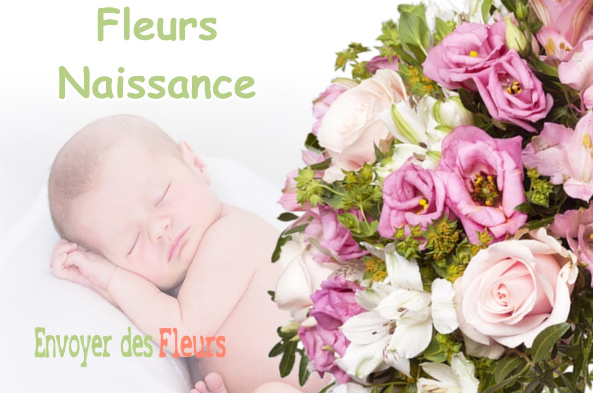 lIVRAISON FLEURS NAISSANCE à LENCOUACQ